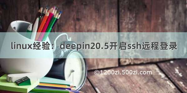 linux经验：deepin20.5开启ssh远程登录