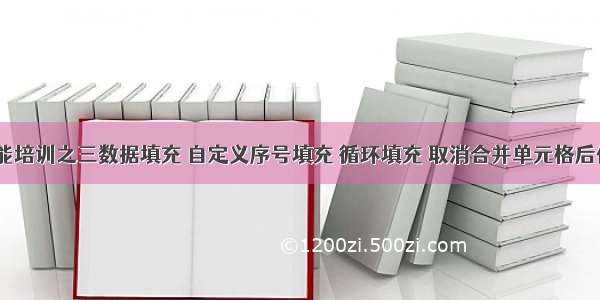 Excel技能培训之三数据填充 自定义序号填充 循环填充 取消合并单元格后保留值 找