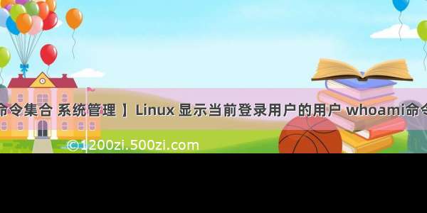 【Shell 命令集合 系统管理 】Linux 显示当前登录用户的用户 whoami命令 使用指南