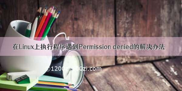 在Linux上执行程序遇到Permission denied的解决办法