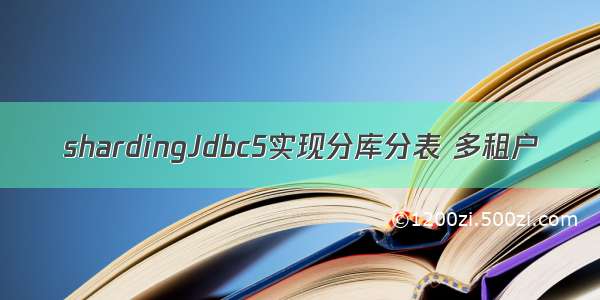 shardingJdbc5实现分库分表 多租户