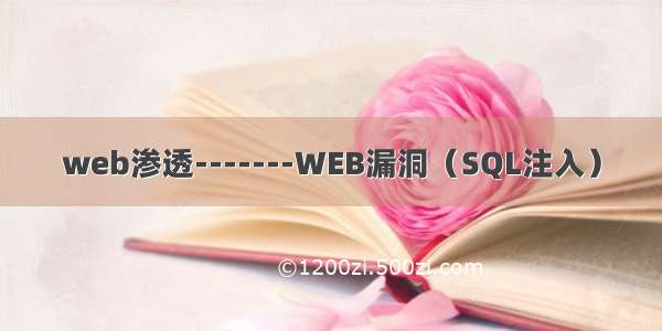 web渗透-------WEB漏洞（SQL注入）