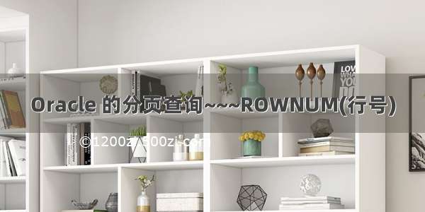 Oracle 的分页查询~~~ROWNUM(行号)