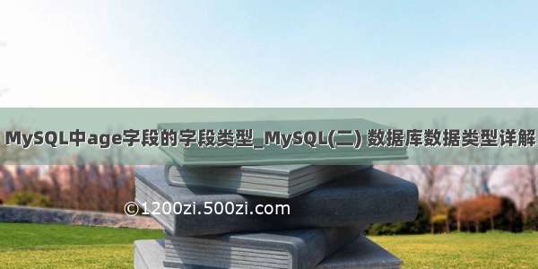 MySQL中age字段的字段类型_MySQL(二) 数据库数据类型详解