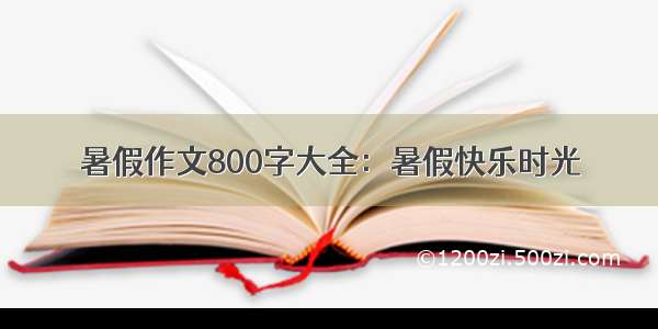 暑假作文800字大全：暑假快乐时光