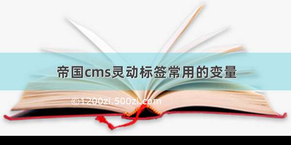 帝国cms灵动标签常用的变量