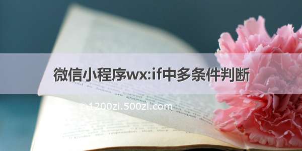 微信小程序wx:if中多条件判断