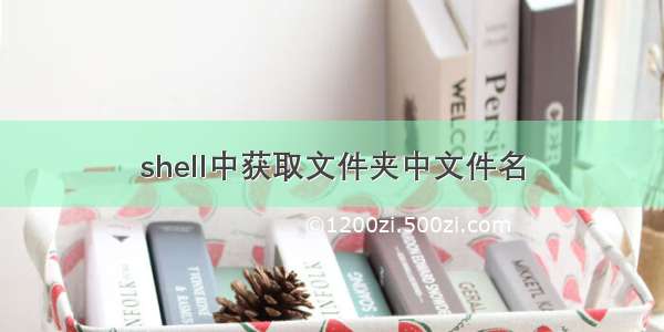 shell中获取文件夹中文件名