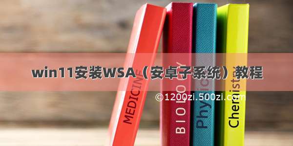 win11安装WSA（安卓子系统）教程