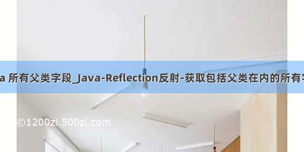 java 所有父类字段_Java-Reflection反射-获取包括父类在内的所有字段