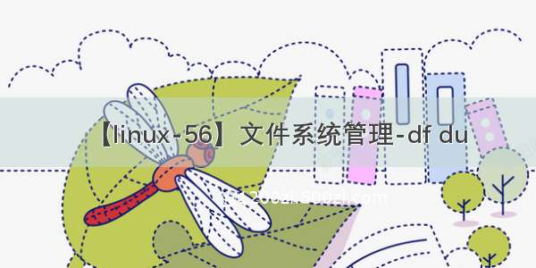 【linux-56】文件系统管理-df du