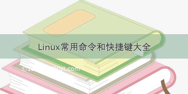 Linux常用命令和快捷键大全