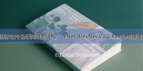 数据集及各个分类网络的结构：LeNet AlexNet VGG ResNet(持续更新)