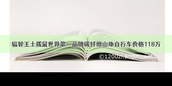 辐轮王土拨鼠世界第一品牌碳纤维山地自行车价格118万