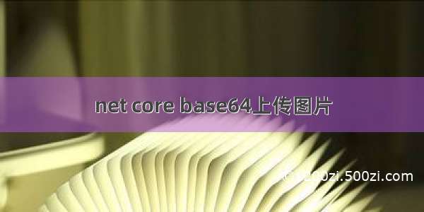 net core base64上传图片