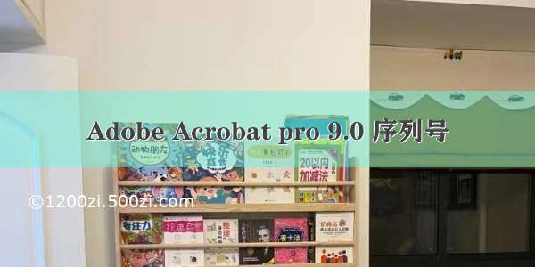 Adobe Acrobat pro 9.0 序列号