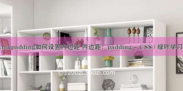 html padding如何设置内边距 内边距：padding - CSS | 绿叶学习网