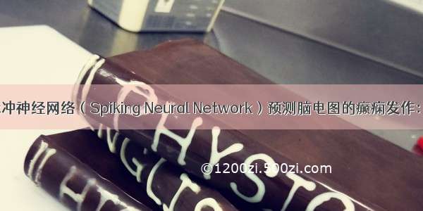 使用两种脉冲神经网络（Spiking Neural Network）预测脑电图的癫痫发作：基于LIF神