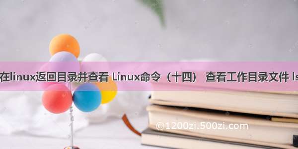 在linux返回目录并查看 Linux命令（十四） 查看工作目录文件 ls