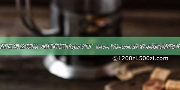 网页vnc连接服务器后怎么使用 如何使用TightVNC Java Viewer从Web浏览器访问远程VNC桌面...