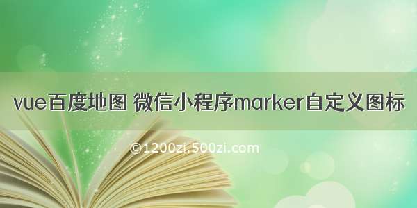 vue百度地图 微信小程序marker自定义图标