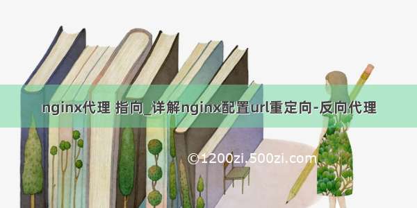 nginx代理 指向_详解nginx配置url重定向-反向代理