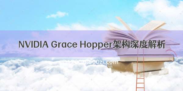 NVIDIA Grace Hopper架构深度解析