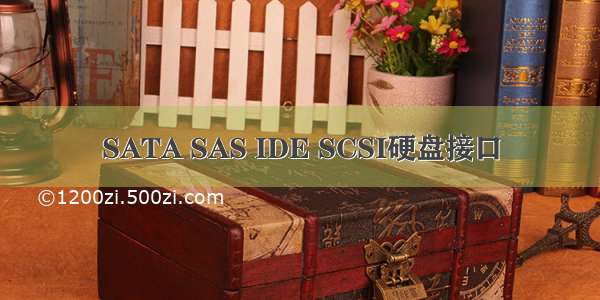 SATA SAS IDE SCSI硬盘接口
