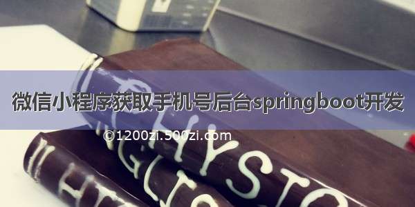 微信小程序获取手机号后台springboot开发