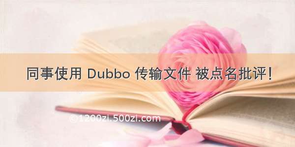 同事使用 Dubbo 传输文件 被点名批评！