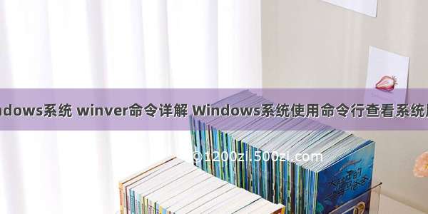 Windows系统 winver命令详解 Windows系统使用命令行查看系统版本