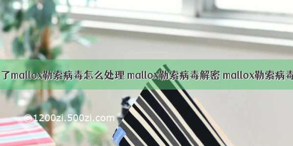 用友财务软件中了mallox勒索病毒怎么处理 mallox勒索病毒解密 mallox勒索病毒文件恢复工具