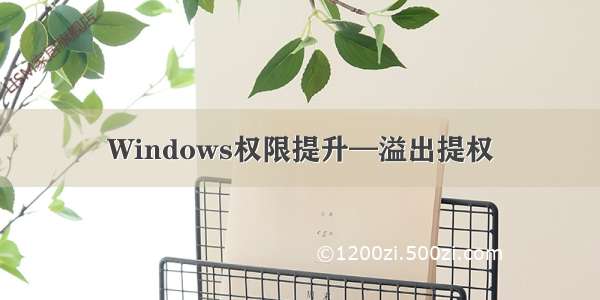 Windows权限提升—溢出提权