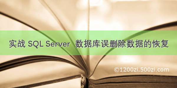 实战 SQL Server  数据库误删除数据的恢复