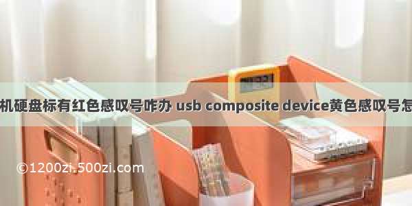 计算机硬盘标有红色感叹号咋办 usb composite device黄色感叹号怎么办