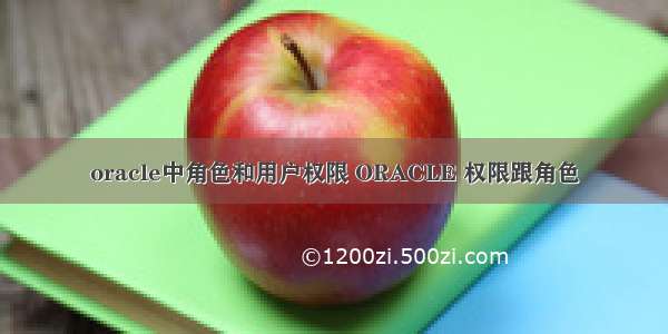 oracle中角色和用户权限 ORACLE 权限跟角色