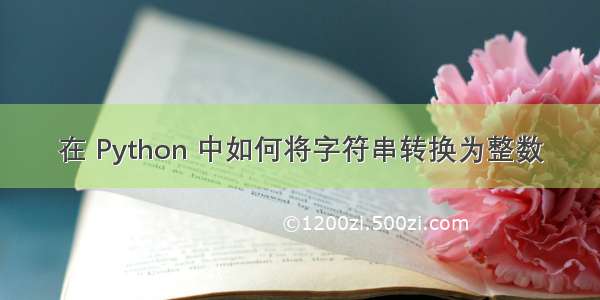 在 Python 中如何将字符串转换为整数