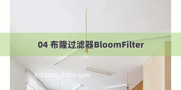 04 布隆过滤器BloomFilter