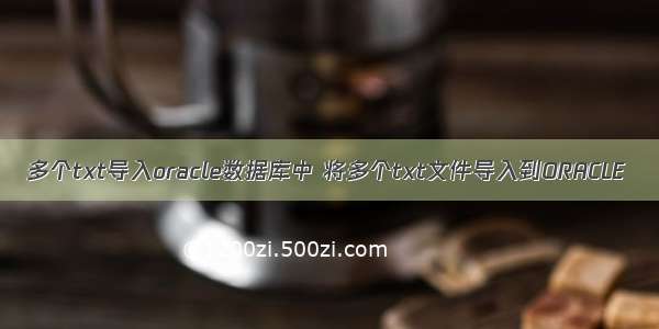 多个txt导入oracle数据库中 将多个txt文件导入到ORACLE