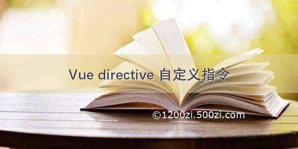 Vue directive 自定义指令