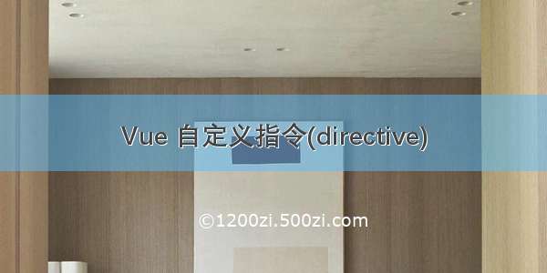 Vue 自定义指令(directive)