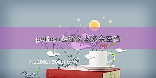 python去除文本多余空格