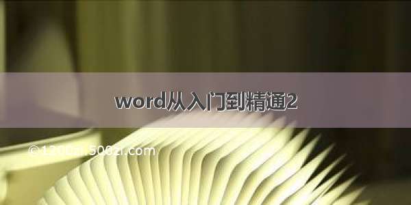 word从入门到精通2