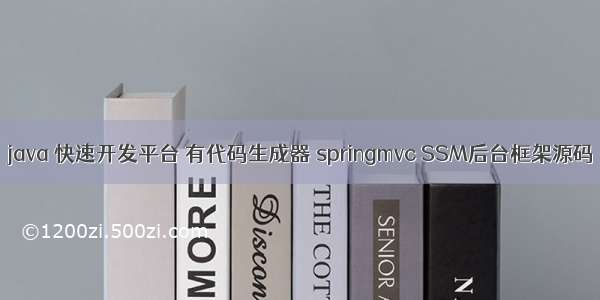 java 快速开发平台 有代码生成器 springmvc SSM后台框架源码