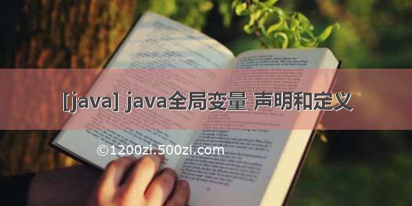 [java] java全局变量 声明和定义