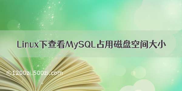 Linux下查看MySQL占用磁盘空间大小