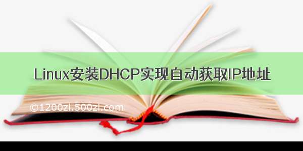 Linux安装DHCP实现自动获取IP地址