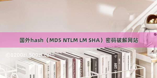 国外hash（MD5 NTLM LM SHA）密码破解网站