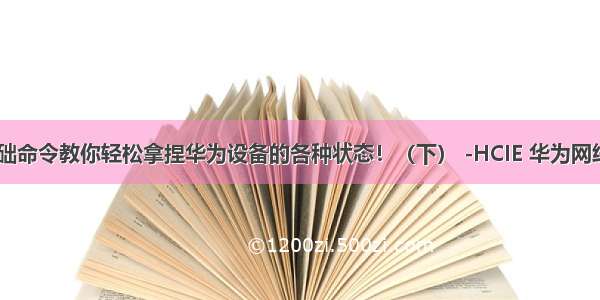 18个基础命令教你轻松拿捏华为设备的各种状态！（下） -HCIE 华为网络工程师