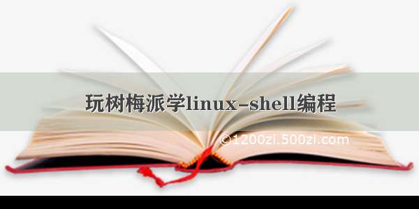 玩树梅派学linux-shell编程